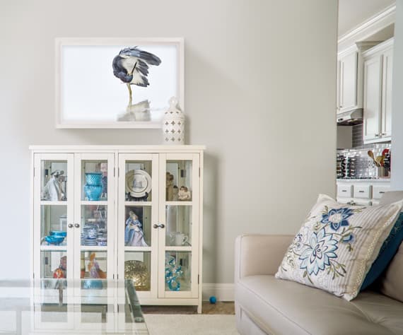 BEAUTIFUL BIRD PICTURES on wall