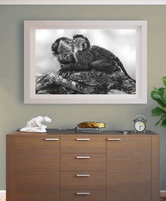 IN HOMES LION-TAILED MACAQUE PRINT MONKEY SEE MONKEY DO EJAZ KHAN EARTH