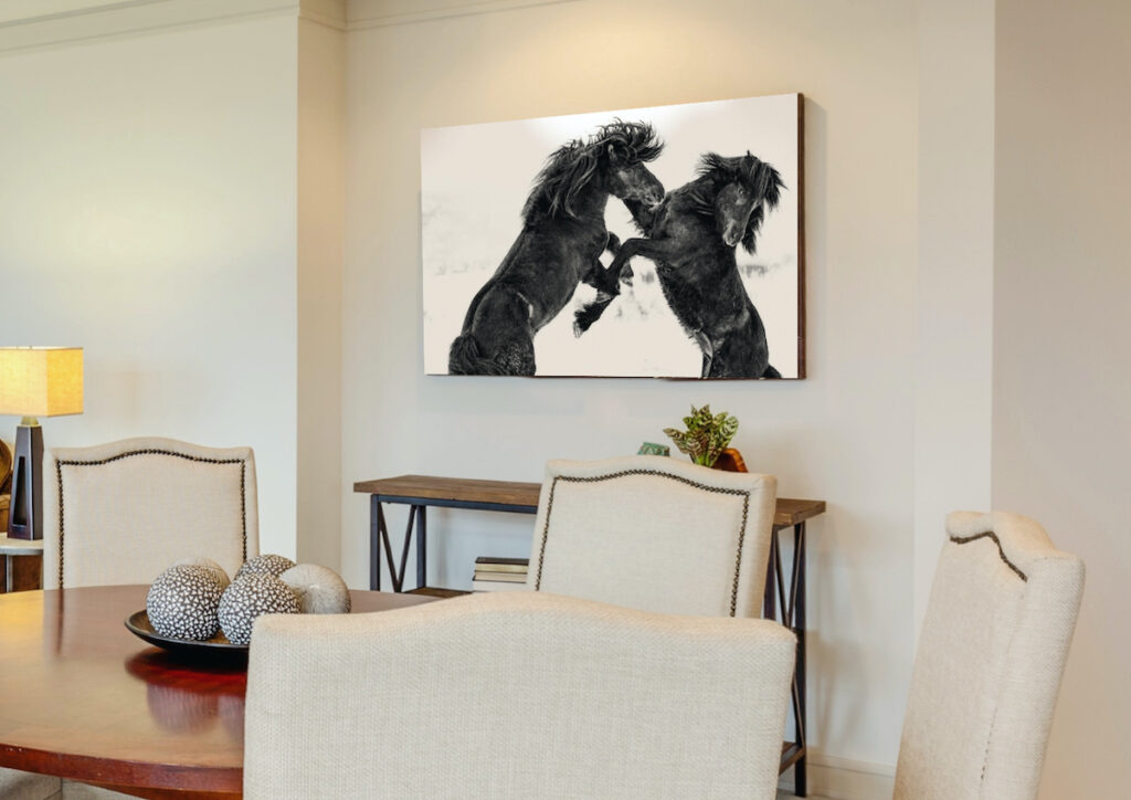 MUSTANG horse PICTURES for DINING ROOM