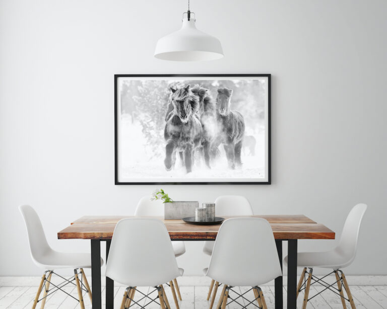 Running Horses Wall Art picture