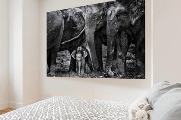 WALL ART OF ELEPHANTS EJAZ KHAN EARTH