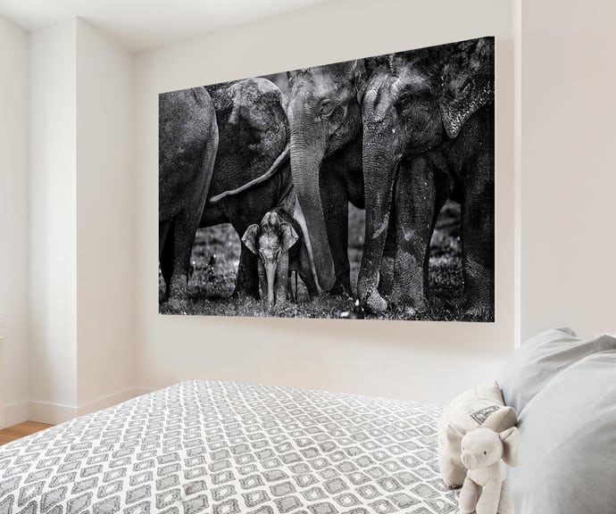 WALL ART OF ELEPHANTS EJAZ KHAN EARTH