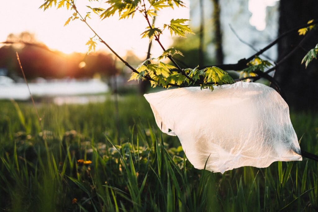 Where Does Plastic Come From?