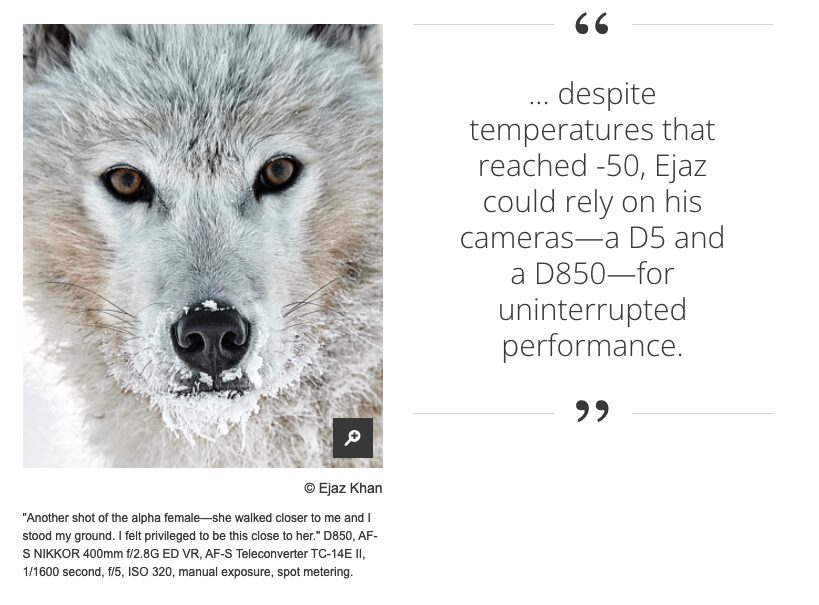 Northern Exposure: A Fashion Photographer Pursues Arctic Wolves. What Could Possibly Go Wrong?