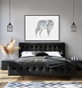 black and white wolf photography print in bedroom