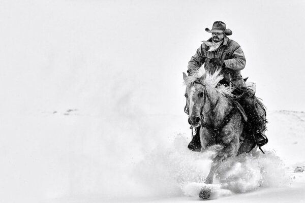 Cowboy Photography Prints