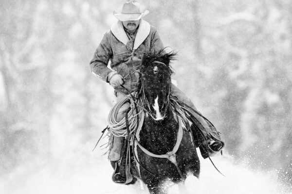 Cowboy Print in snow