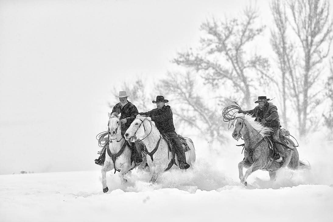 Western Cowboys Print