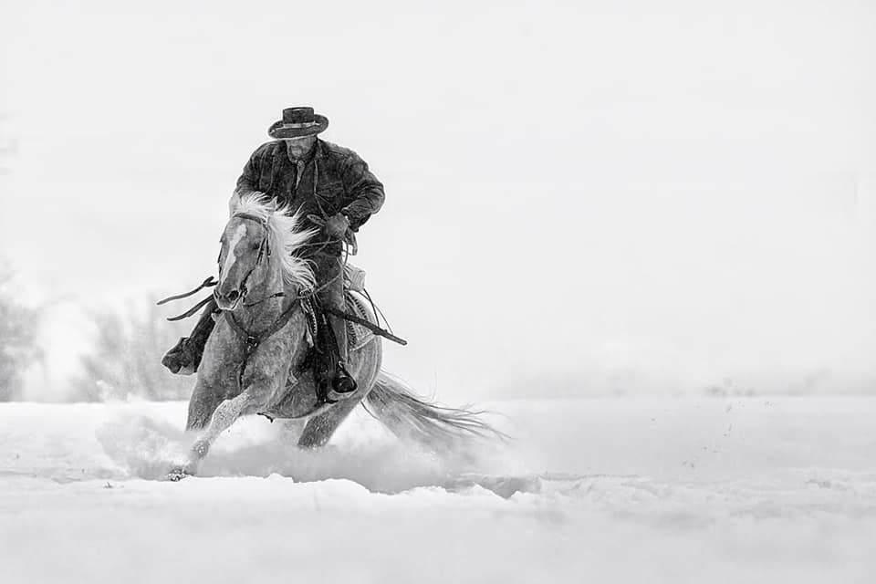 Cowboy Wall Art