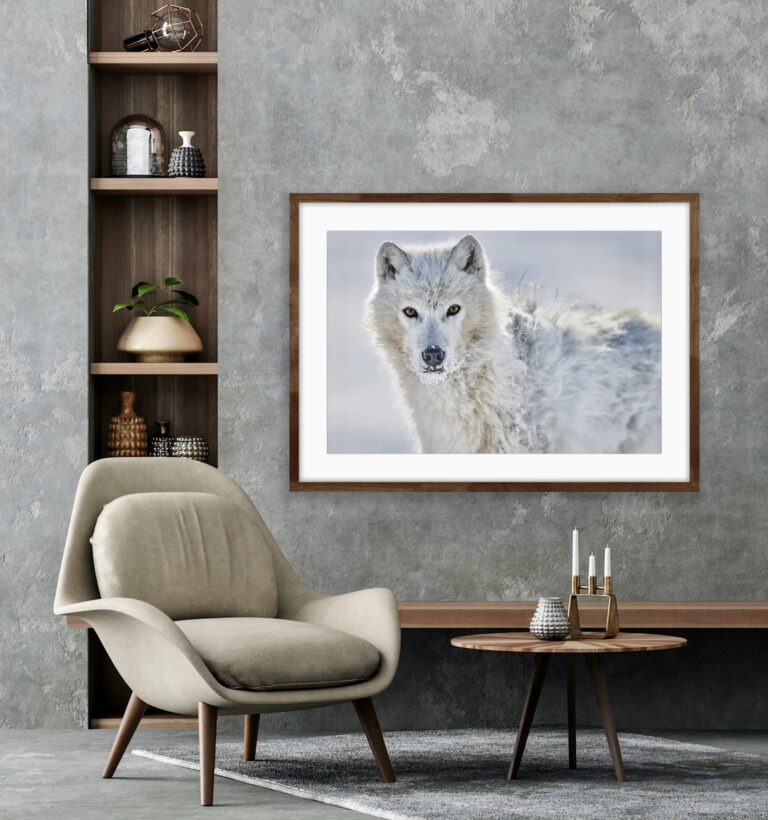 wolf print in snow on wall