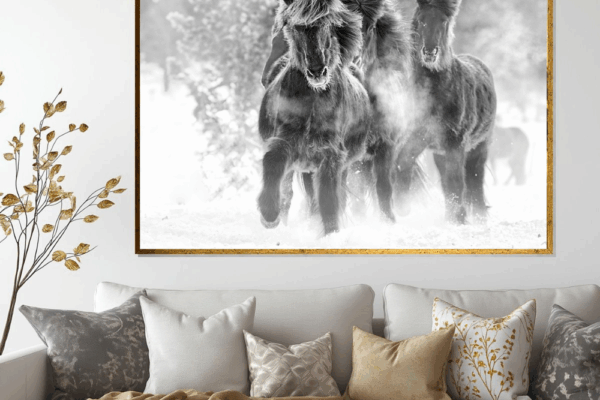 Blue roan wild horse running in snow with it's pack and leading a team, wild life photography for living room.