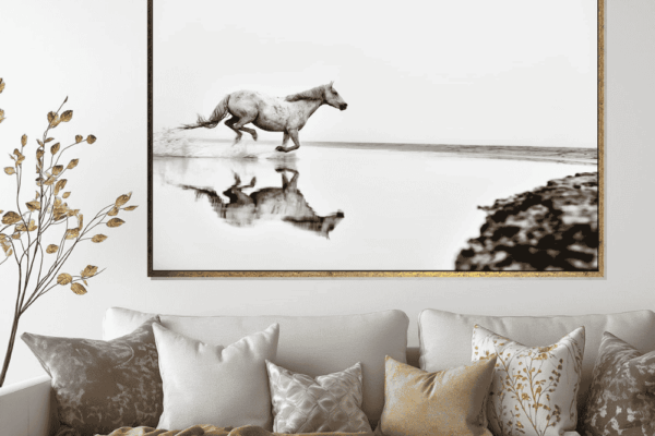 white horse fine art photography by ejaz khan hanging in living area