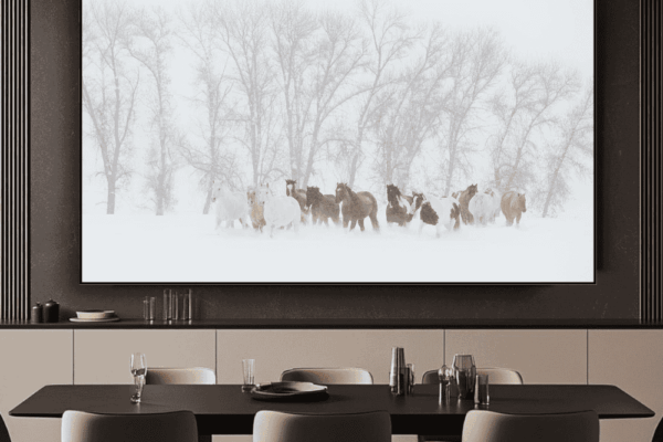 hoses running in snow white black and brown horses showing a sign of hope for living area wall art