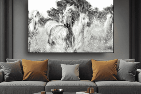 wildlife fine art horse photography for living area make room elegant