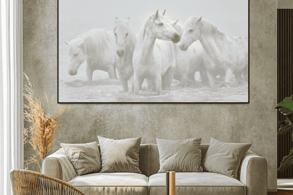 a beautiful group of white horses standing in water, Fine art print by Ejaz khan