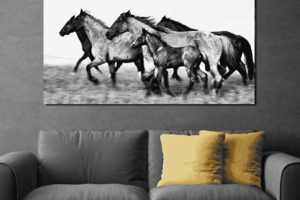 Blue roan horses grazzing in fileds, fine art photography short of horses for dinning area
