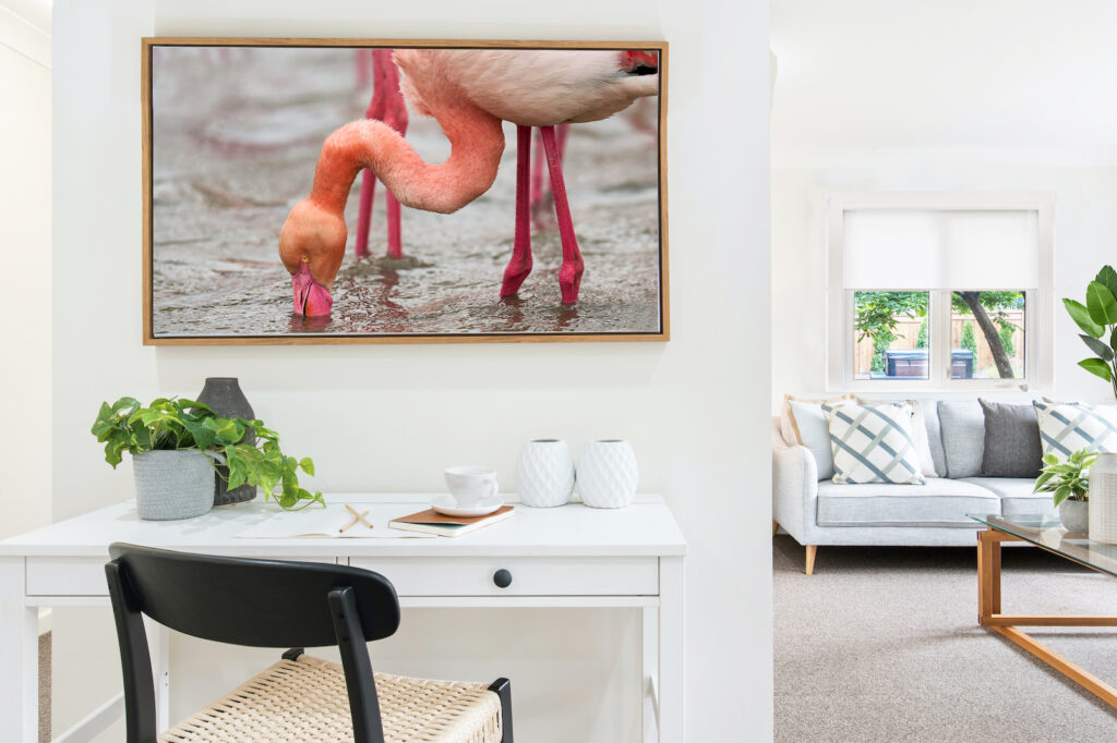 FLAMINGO PICTURES IN LIVING ROOM