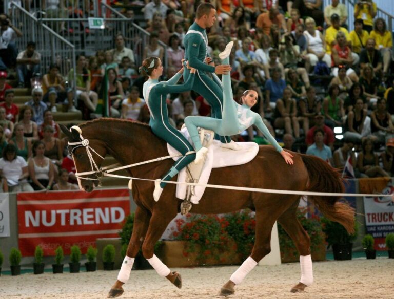 Equestrian Vaulting