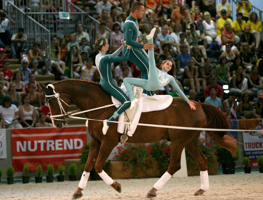 Equestrian Vaulting