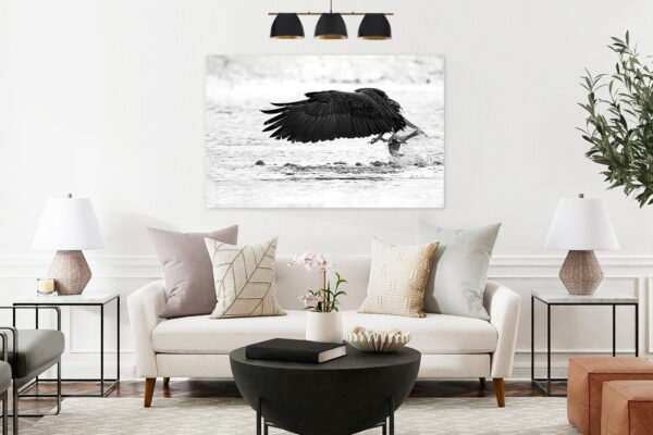 Bald Eagle Image Print on wall