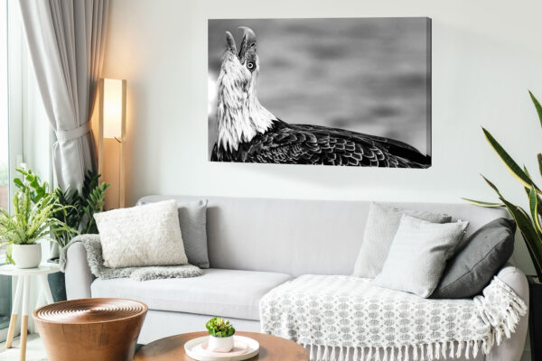 Bald Eagle Artwork in home