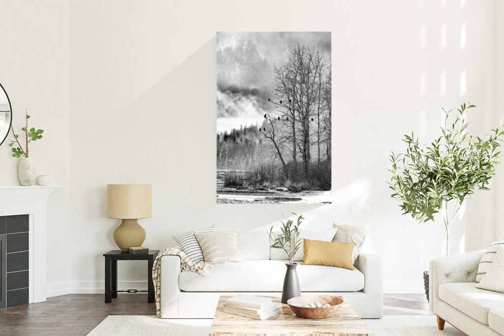 Bald Eagle Print hang on the home wall