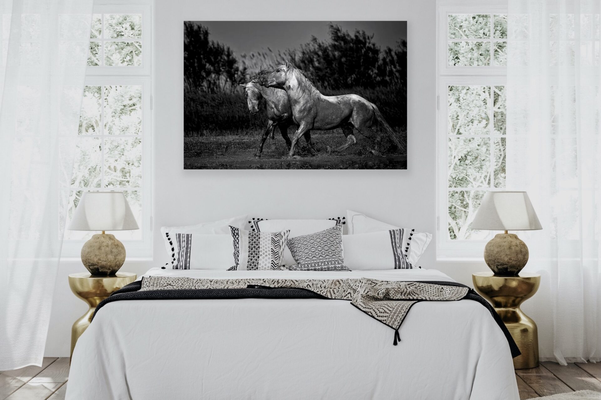 Black and White Horses - Image 2