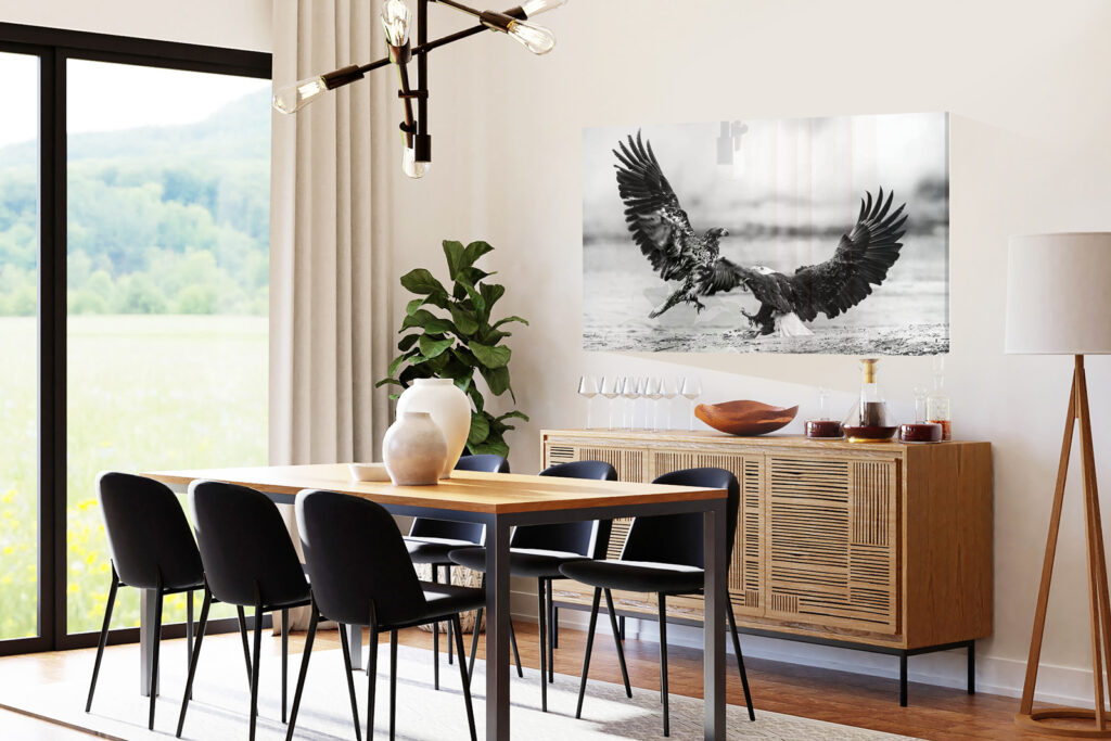 Juvenile Bald Eagle Picture hang in dining room