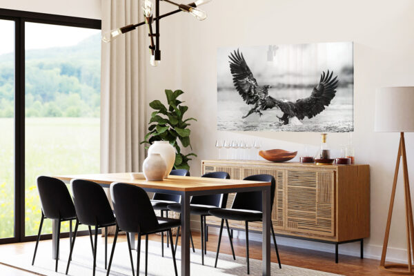 Juvenile Bald Eagle Picture hang in dining room