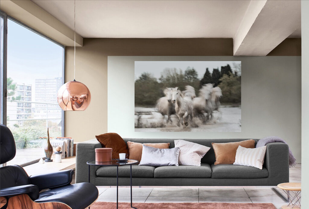 Transform Your Space: Home Decor Ideas with Fine Art Wildlife Photography