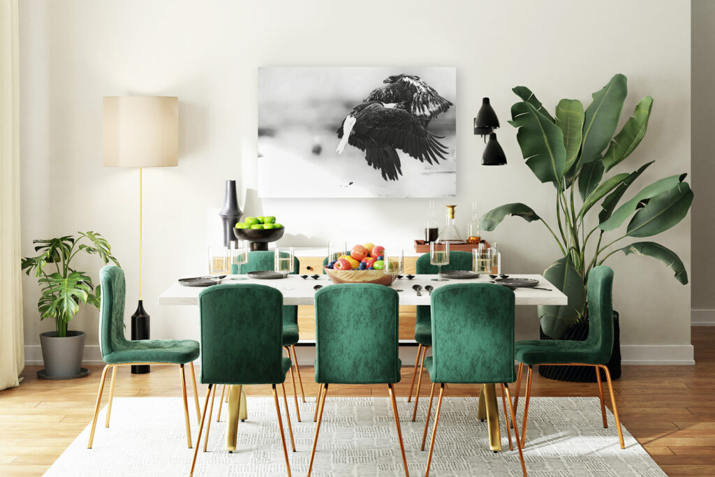 Young Bald Eagle Picture mounted on dining room wall