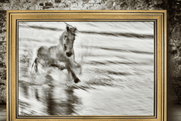 blue roan horse running in water and splashing all around in golden frame for office hall