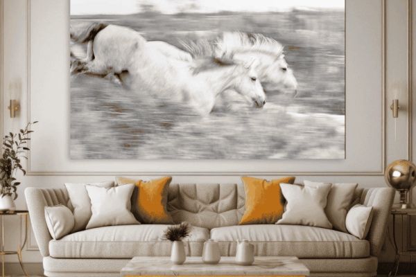 White horse running in wild. fine art horse photography by ejaz khan. best horse wall art design for living room