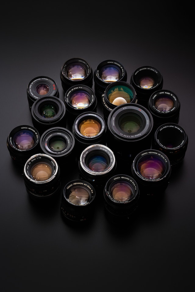 The Rise of Mirrorless Cameras in Wildlife Photography: A Revolution in Imaging