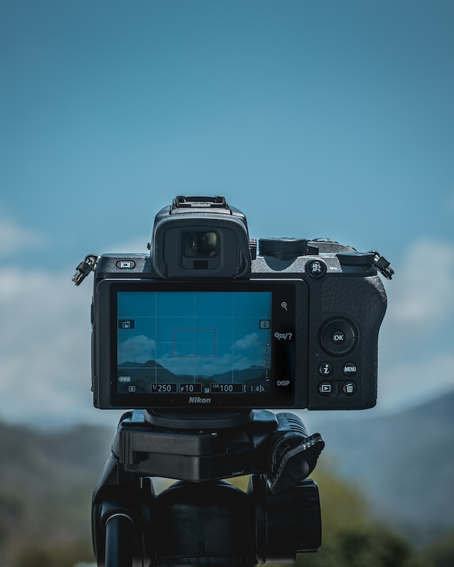 The Rise of Mirrorless Cameras in Wildlife Photography: A Revolution in Imaging
