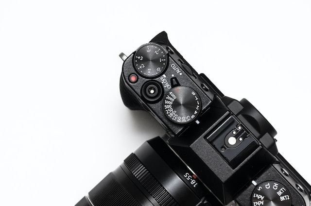 The Rise of Mirrorless Cameras in Wildlife Photography: A Revolution in Imaging