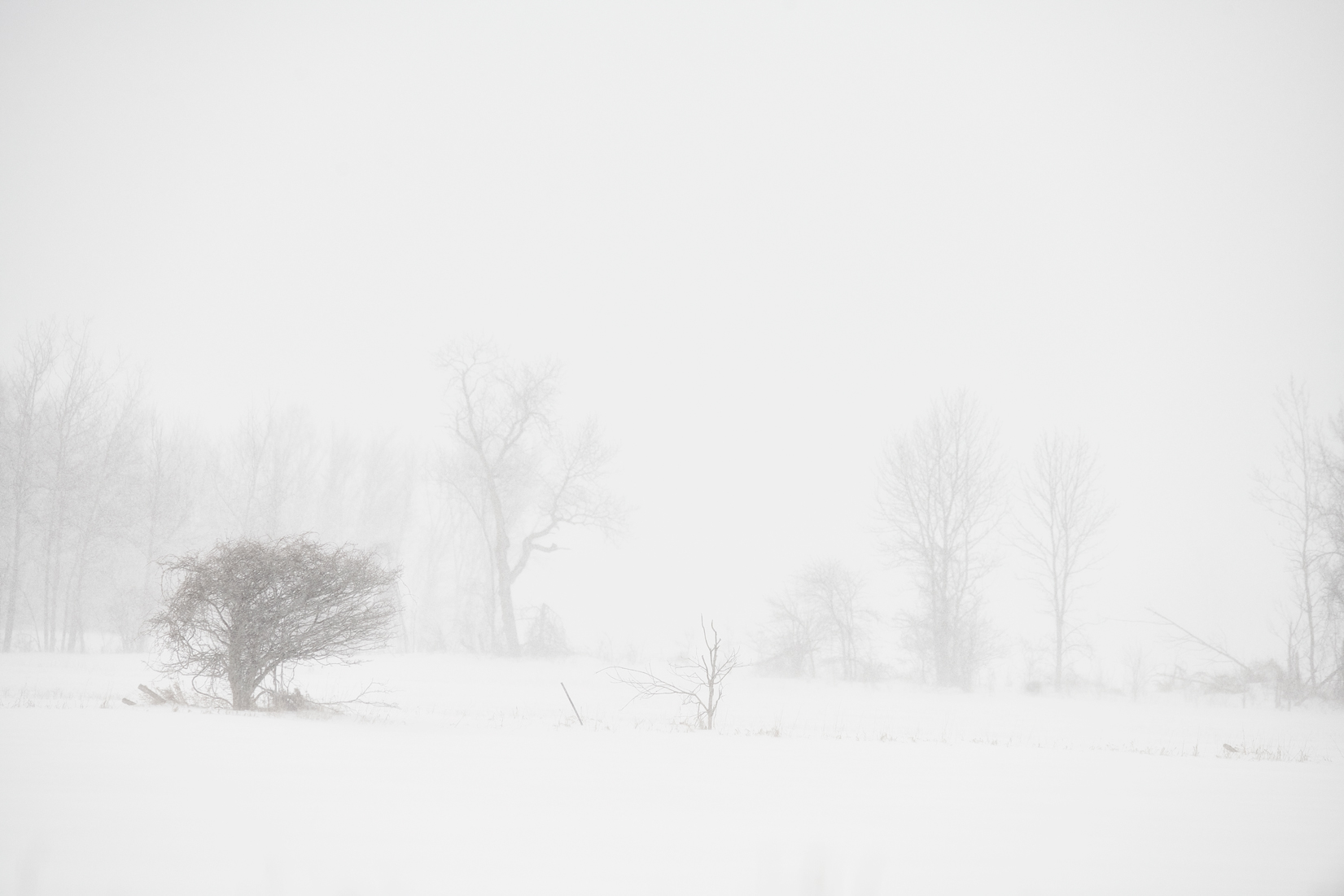 Landscape Photography Print