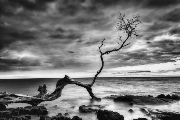 How to Create Black and White Fine art Photography in (2024)