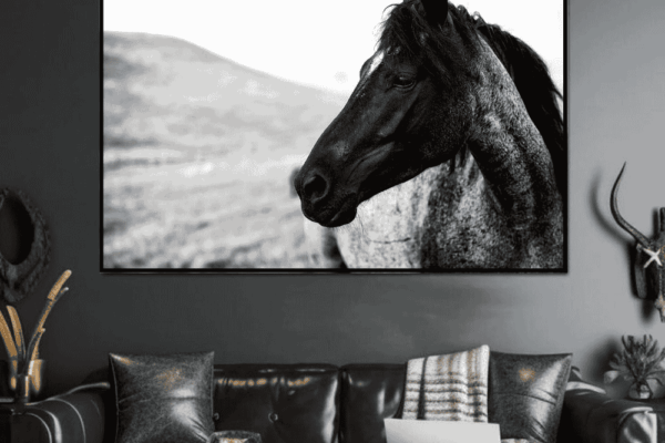 black horse portrait photography for living room and office wall. best for CEO room.