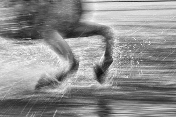 Wild horse running photography during splashing water near sea shore by ejaz khan