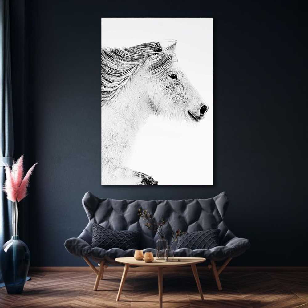 white horse portrait wall art photograpy