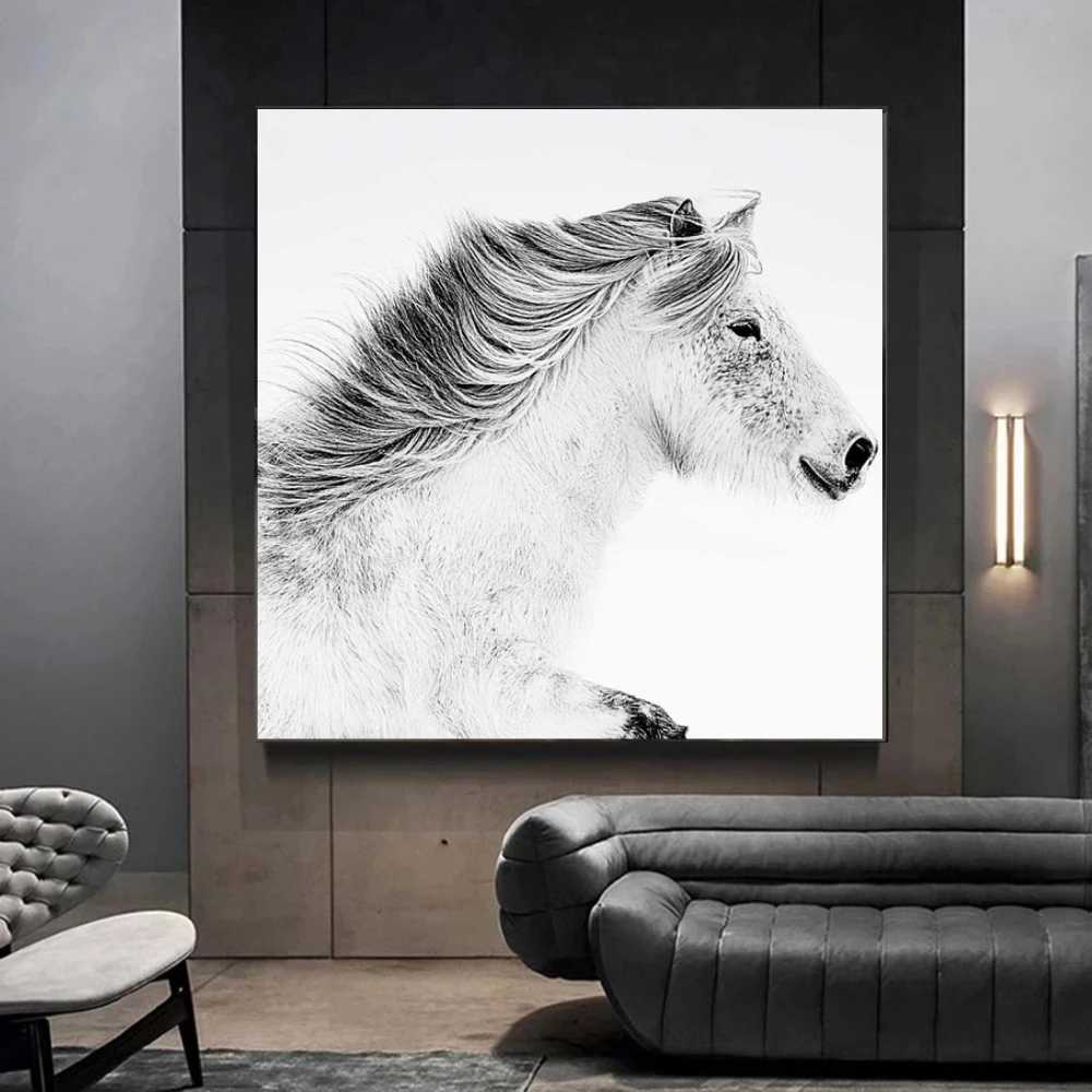 white horse portrait wall art photograpy
