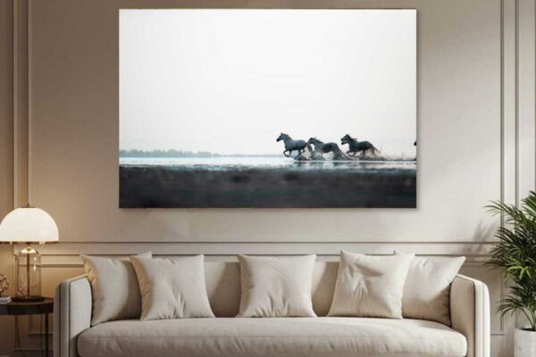 Blue roan wild horse running near river and creating a beautiful landscape. wild horse photography shot by ejaz khan for living area