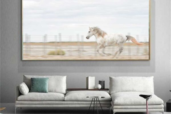 white horse running alone in farms with fast speed