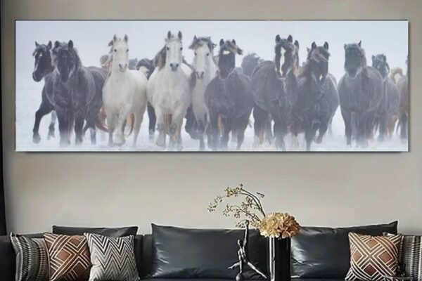 Fine art horse photography for office wall