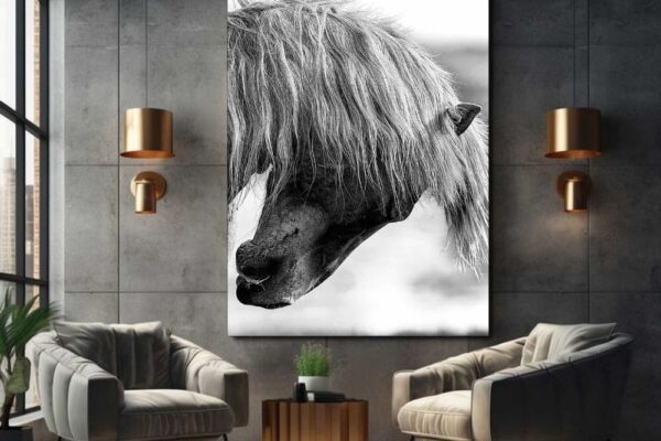 fine art portrait horse photography hanging in living room