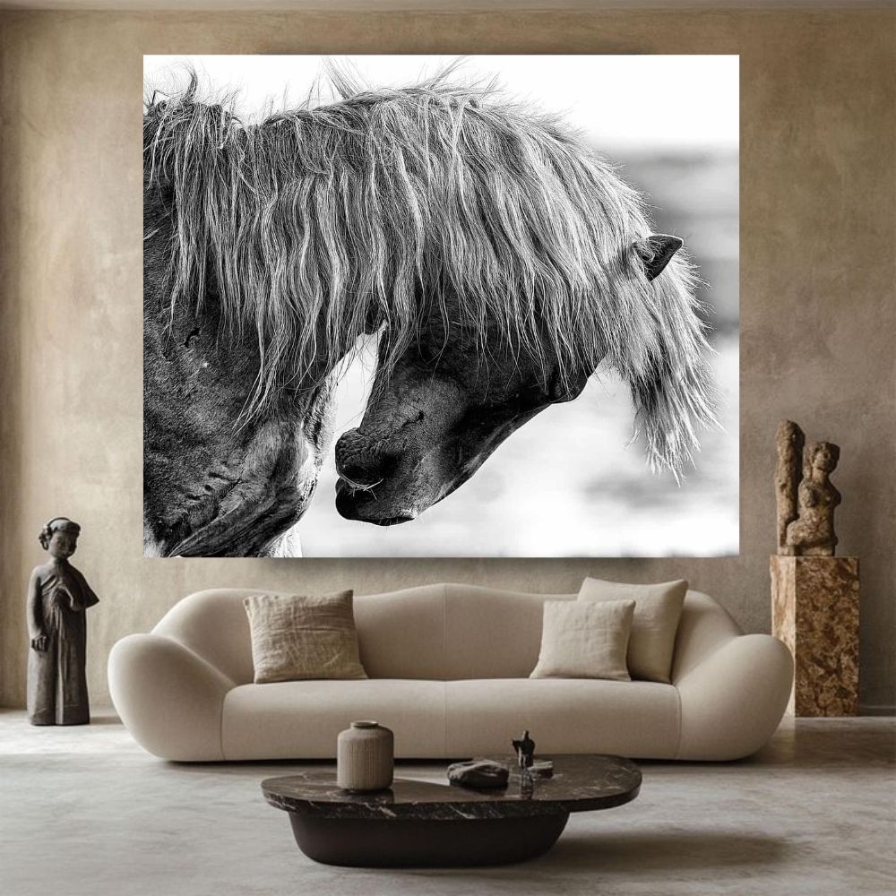 fine art horse portrait photography by ejaz kahn