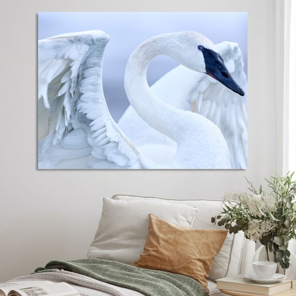 How to Price Fine Art Photography Prints