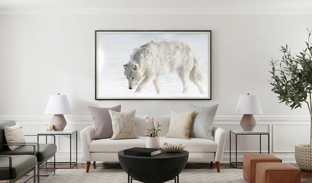 Goal of Fine Art Photography
