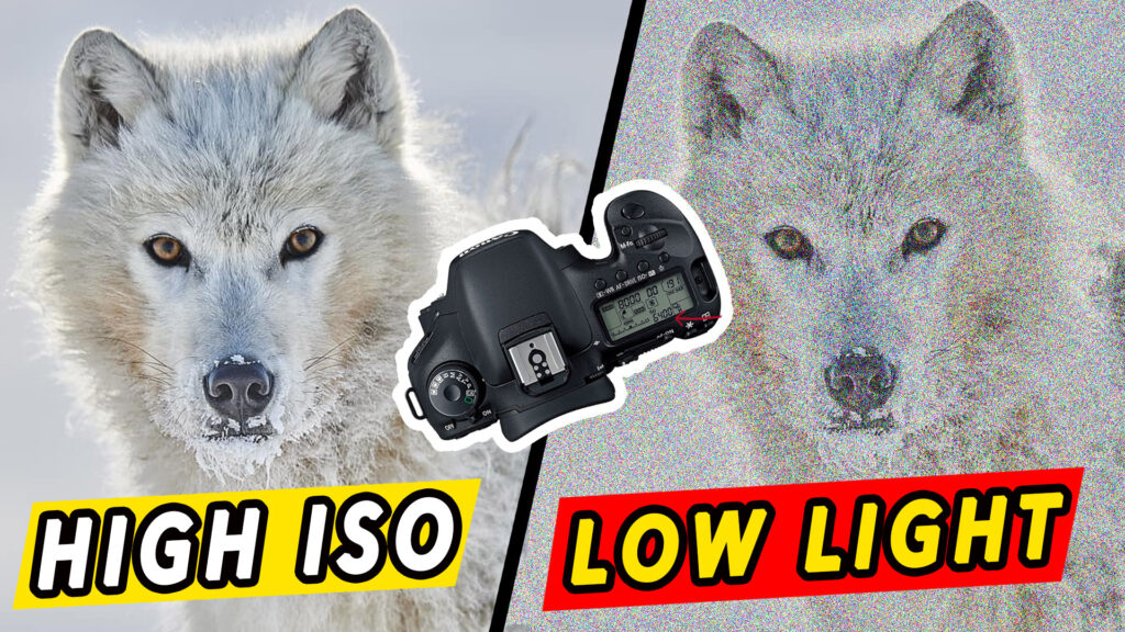 How to Use High ISO the Right Way: A Creative Photographer’s Guide